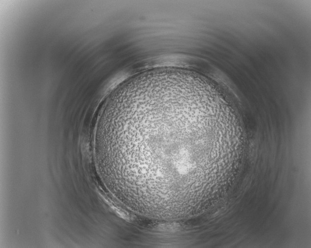 X0000080130882200612151736