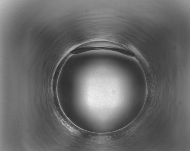 X0000080130884200612151736