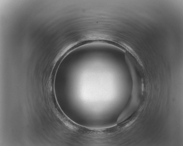 X0000080130885200612151736