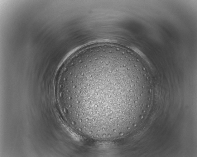 X0000080130886200612151735