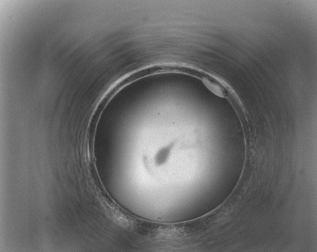 X0000080130887200612151735