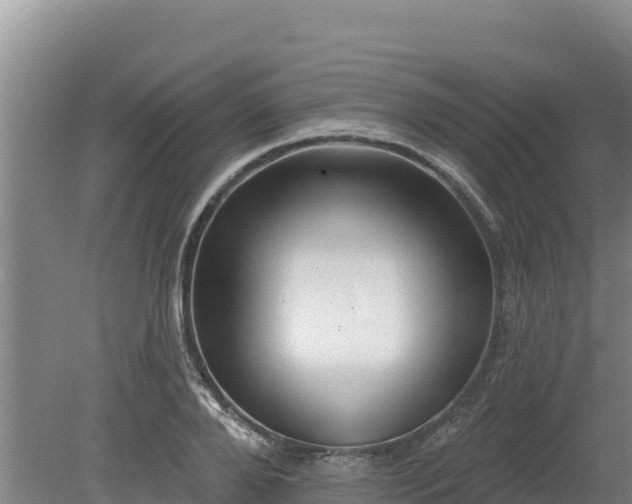 X0000080130888200612151735