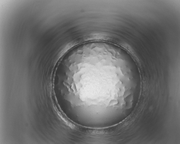 X0000080130890200612151735