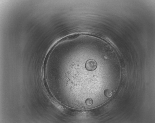 X0000080130891200612151735