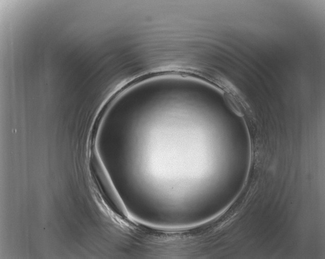 X0000080130892200612151735