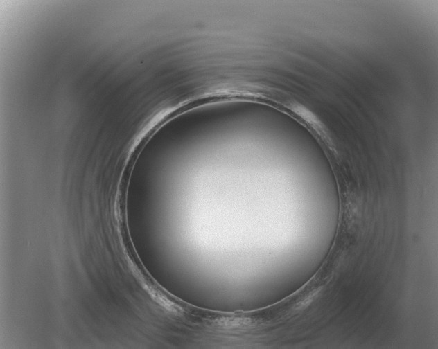 X0000080130893200612151735