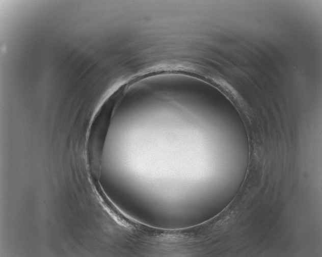 X0000080130894200612151735