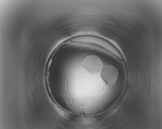 X0000080130895200612151735