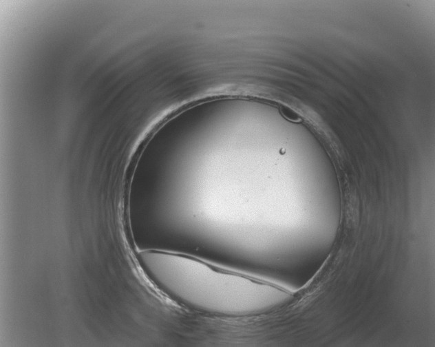 X0000080130896200612151735