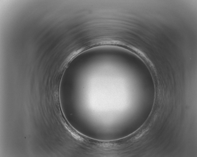 X0000080130897200612151735