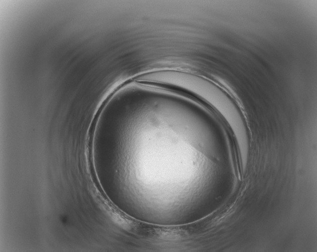 X0000080130899200612151735