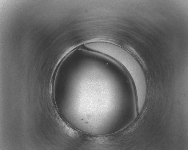 X0000080130900200612151735