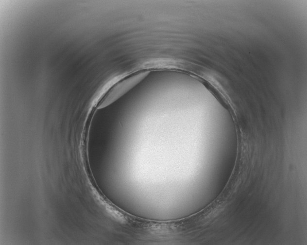 X0000080130901200612151735