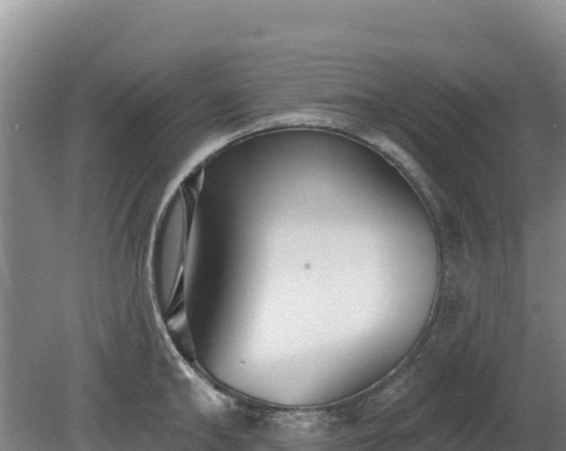 X0000080130902200612151735