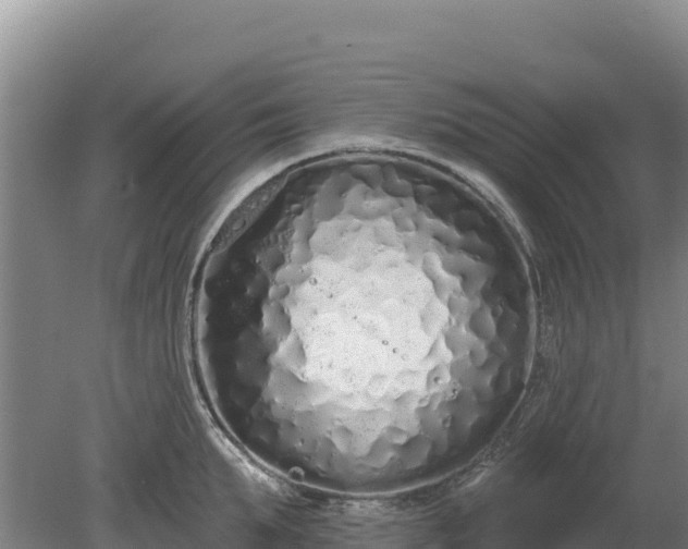 X0000080130903200612151735