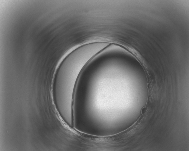 X0000080130904200612151735