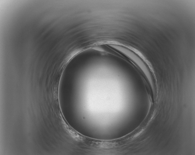 X0000080130905200612151735