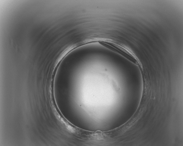 X0000080130906200612151735