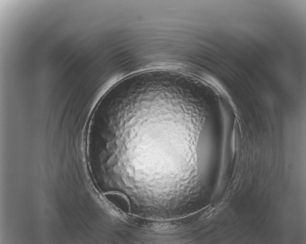 X0000080130907200612151735