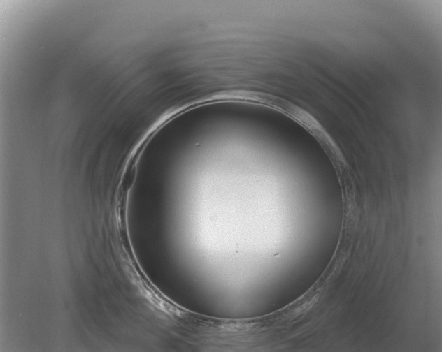 X0000080130908200612151735