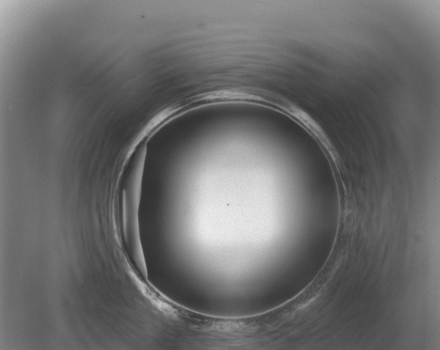 X0000080130909200612151735