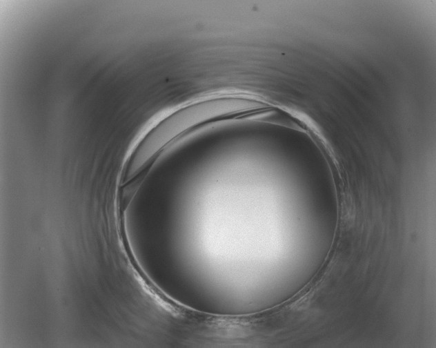 X0000080130910200612151735