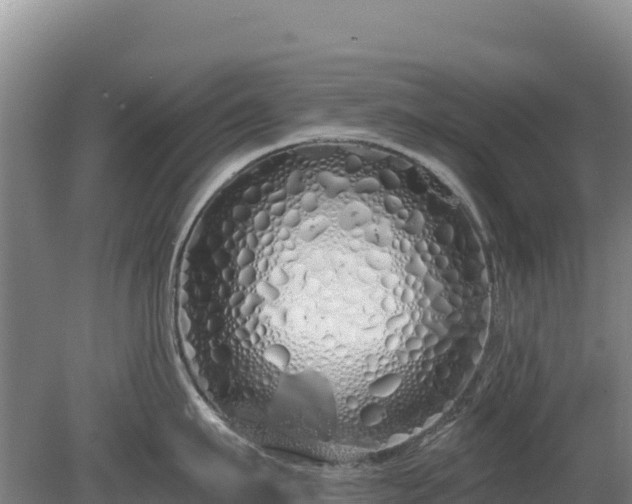 X0000080130911200612151735