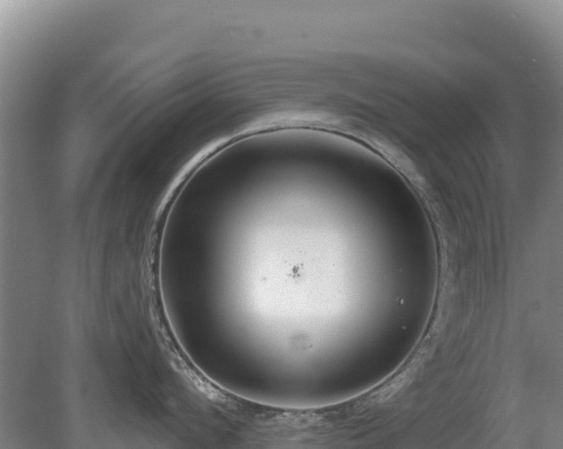 X0000080130912200612151735