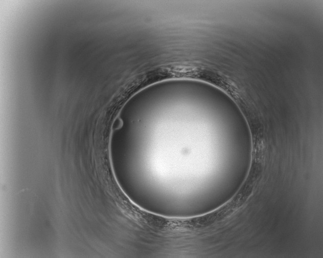 X0000080130913200612151734