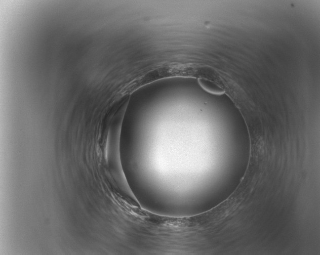 X0000080130914200612151734