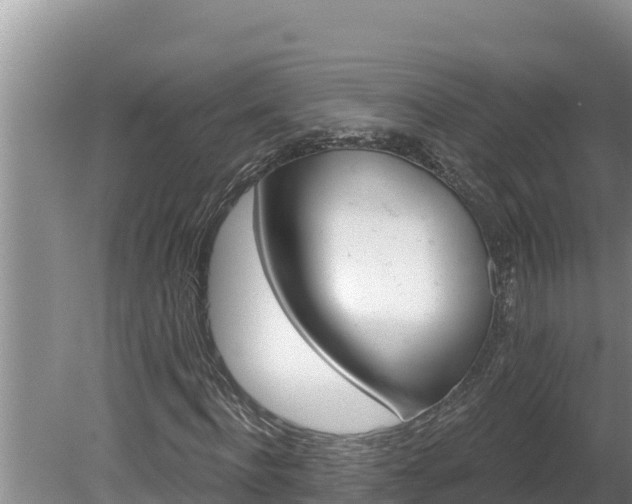 X0000080130916200612151734