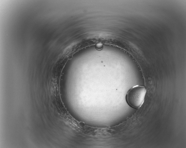 X0000080130918200612151734