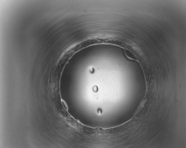 X0000080130920200612151734