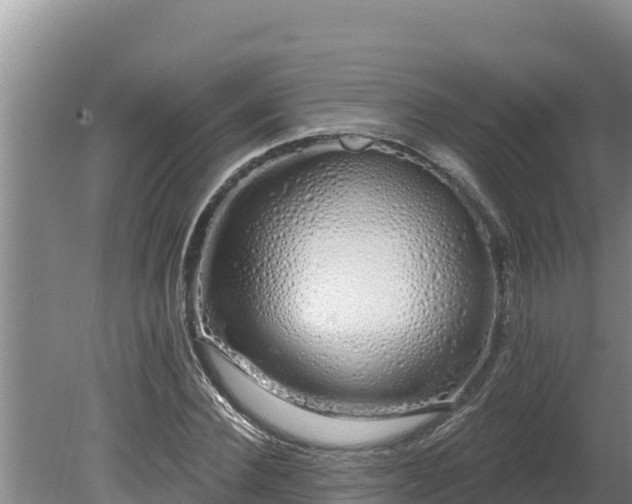 X0000080130924200612151734