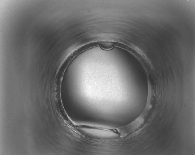 X0000080130926200612151734