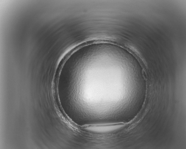 X0000080130928200612151735