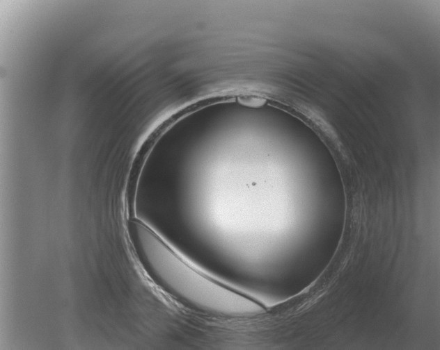 X0000080130936200612151735