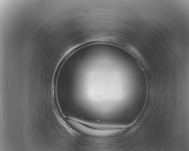 X0000080130940200612151735