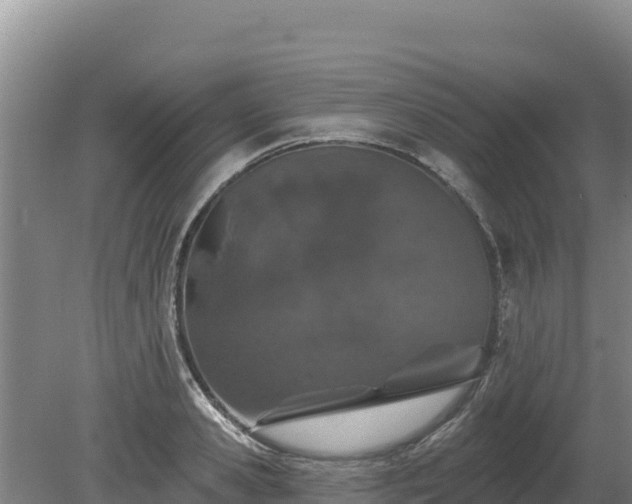 X0000080130941200612151735