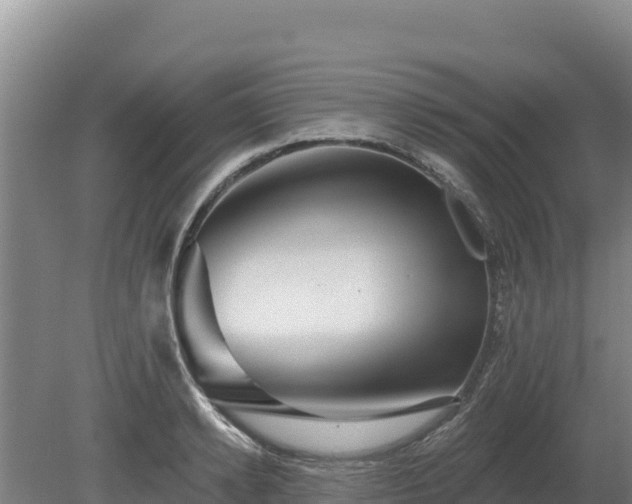 X0000080130942200612151735