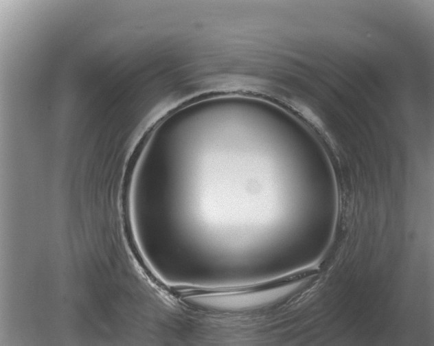 X0000080130943200612151735