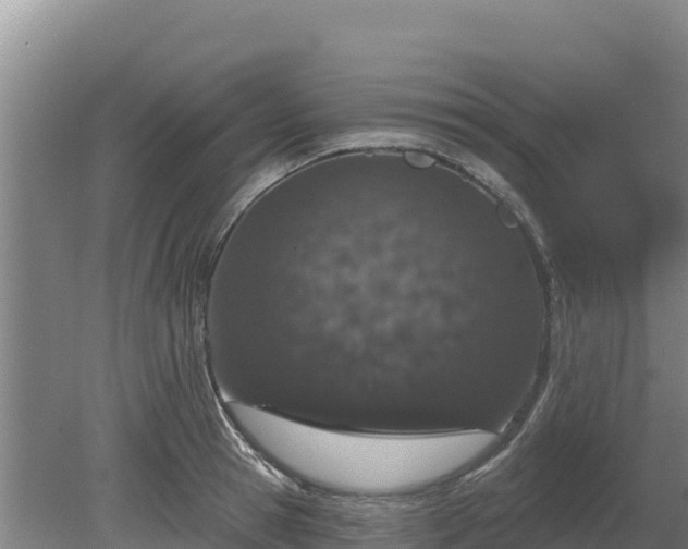 X0000080130945200612151735