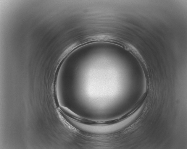 X0000080130946200612151735