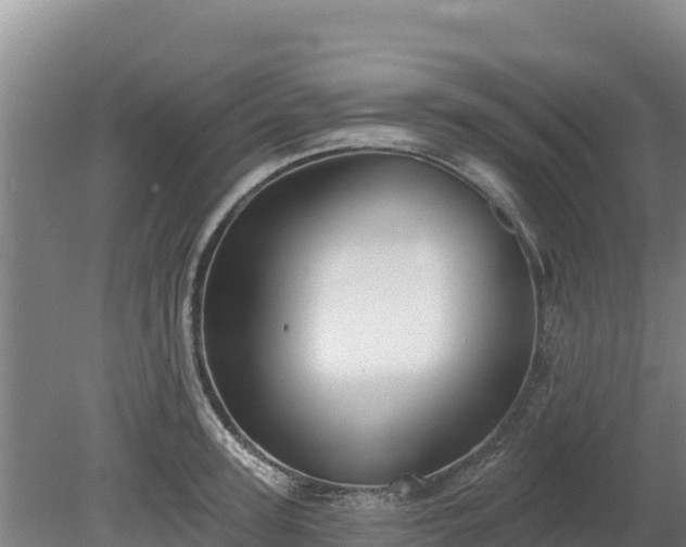 X0000080130947200612151735