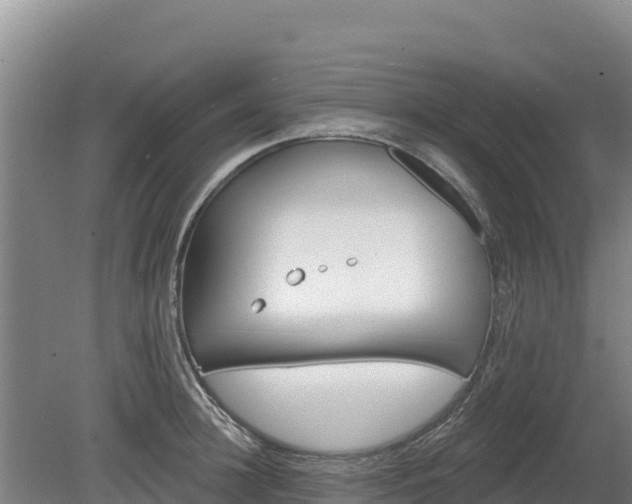 X0000080130948200612151735