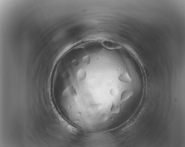 X0000080130949200612151735