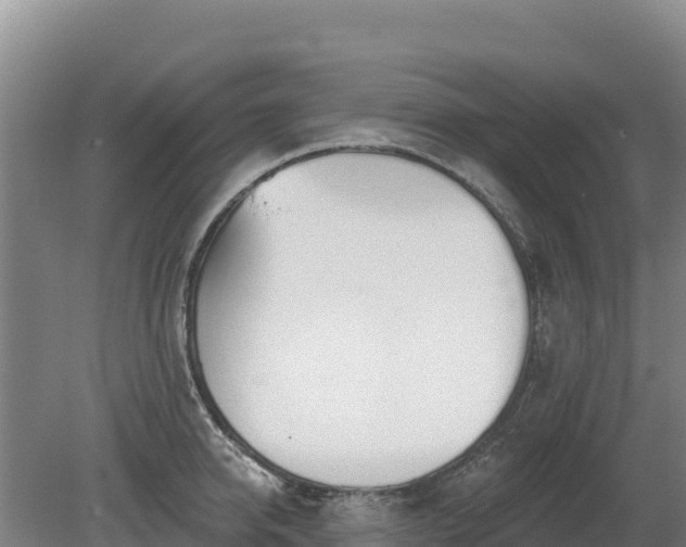 X0000080130950200612151735