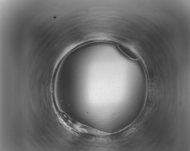 X0000080130951200612151735