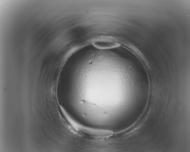 X0000080130953200612151735