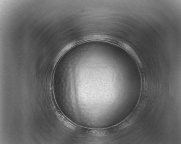 X0000080130954200612151735